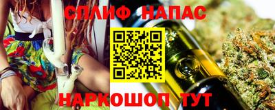 гашик Краснодар
