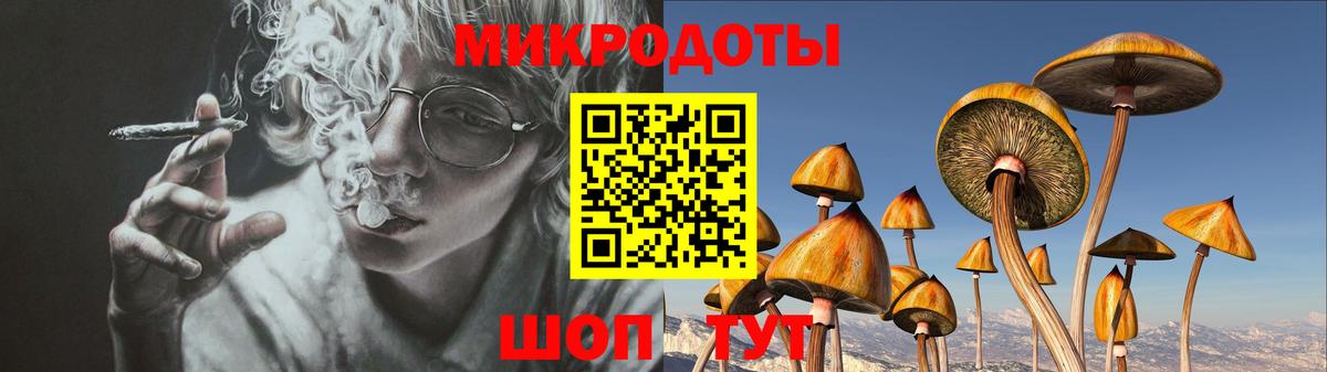 как найти закладки  Галлюциногенные грибы Cubensis  Заводоуковск  Вход с VPN  Псилоцибиновые грибы MAGIC MUSHROOMS 